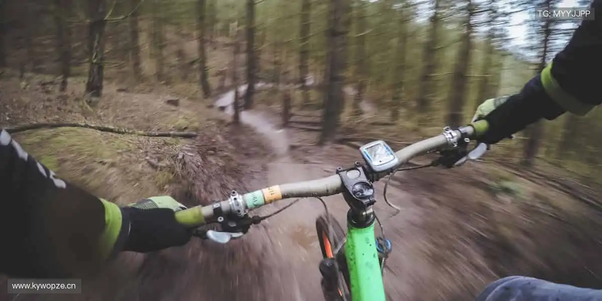 全球赛事，同步开启！🌍🎥 体育直播，打破时空界限！